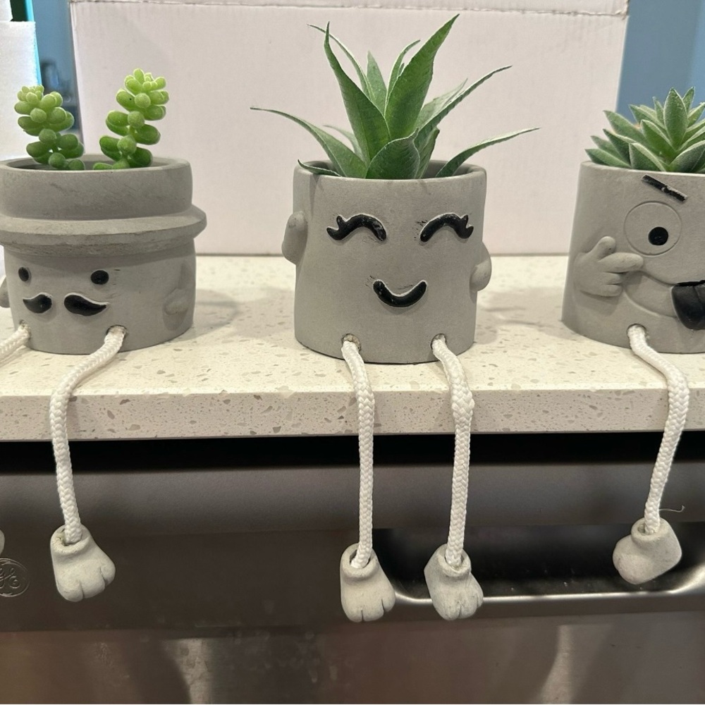 Gray Ceramic Planter Set with Fun Faces